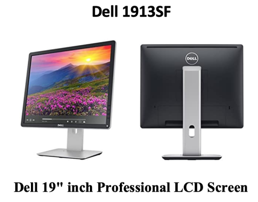 Dell 19" Model 1913SF Professional Monitor